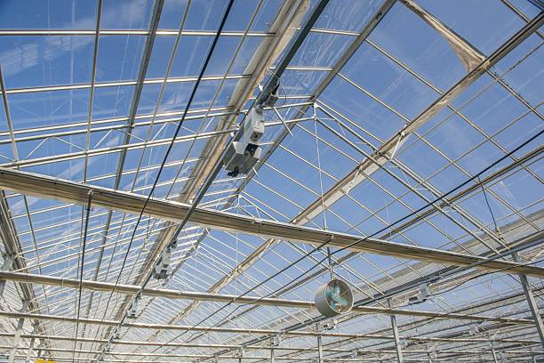 Commercial Greenhouse Construction & Drip System (8m x 30m)